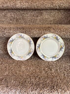 Fine Porcelain Floral Salad/Dessert Plates in Cream with Gold Trim